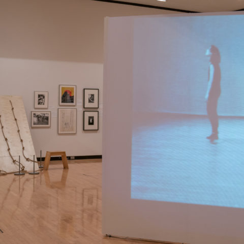 Radical Bodies: Anna Halprin, Simone Forti, and Yvonne Rainer in California and New York, 1955 – 1972